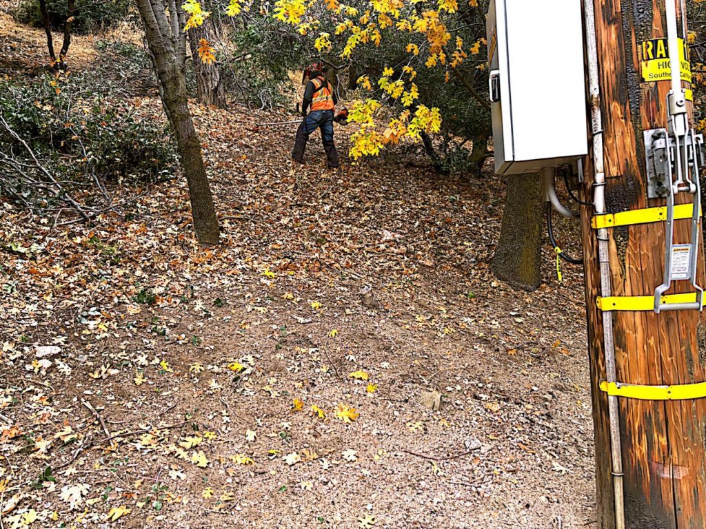 A county contractor in safety gear clears brush in a wooded area near a wooden utility pole.