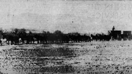 A black and white photo of a team of mules pulling two wagons.