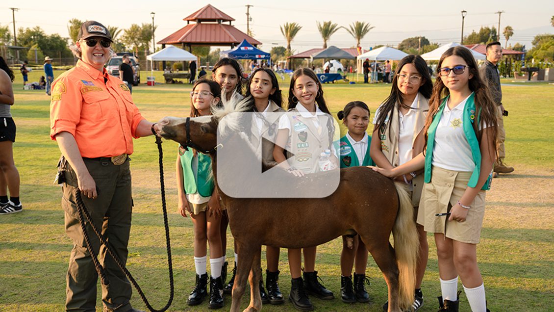 A group of Girl Scouts and a volunteer pose with a small brown pony at Bloomington National Night Out in Ayala Park.