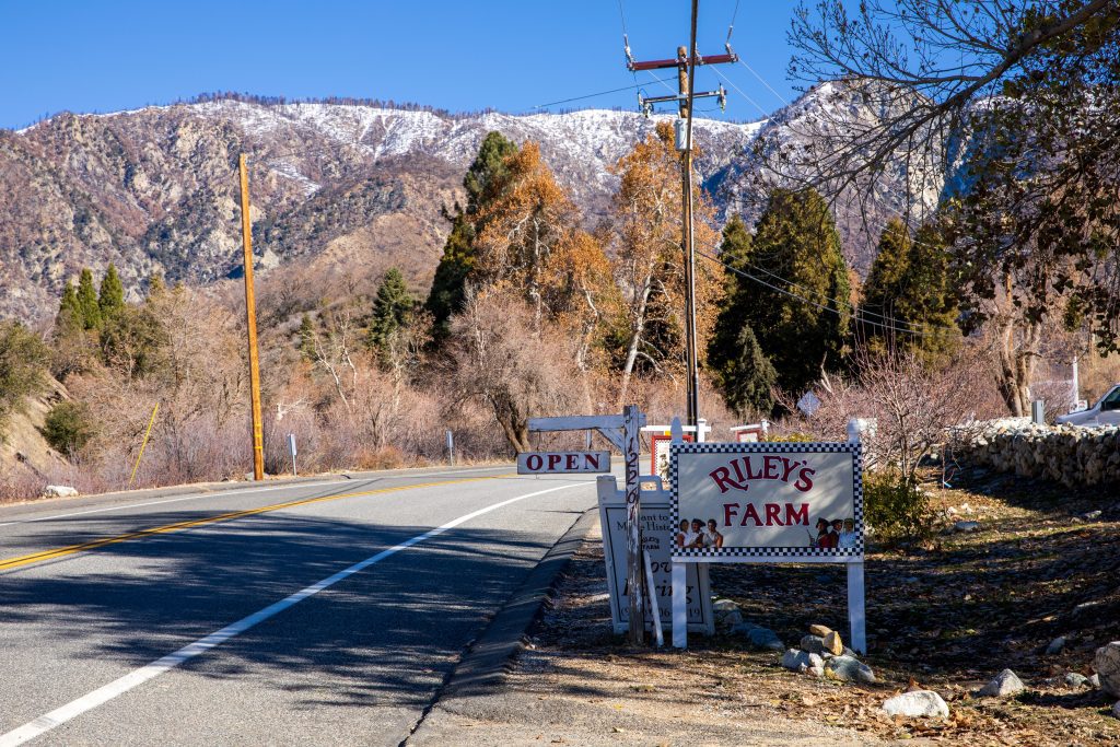 Riley's Farm sign next to a sign that says open, with mountains covered in a light dusting of snow, and trees in the background.