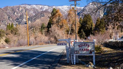 Riley's Farm sign next to a sign that says open, with mountains covered in a light dusting of snow, and trees in the background.