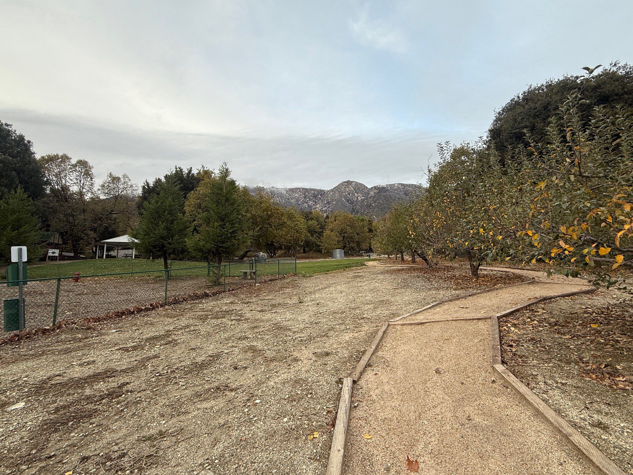 A walking path leading through a park.
