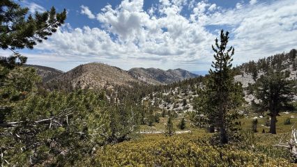 A mountainous landscape under a partly cloudy sky featuring scattered trees and green shrubs.