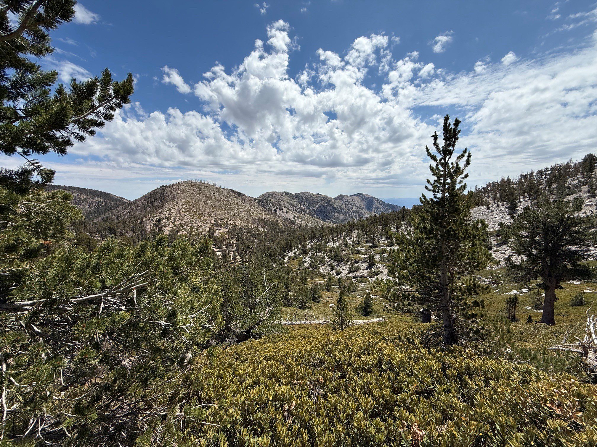 A mountainous landscape under a partly cloudy sky featuring scattered trees and green shrubs.