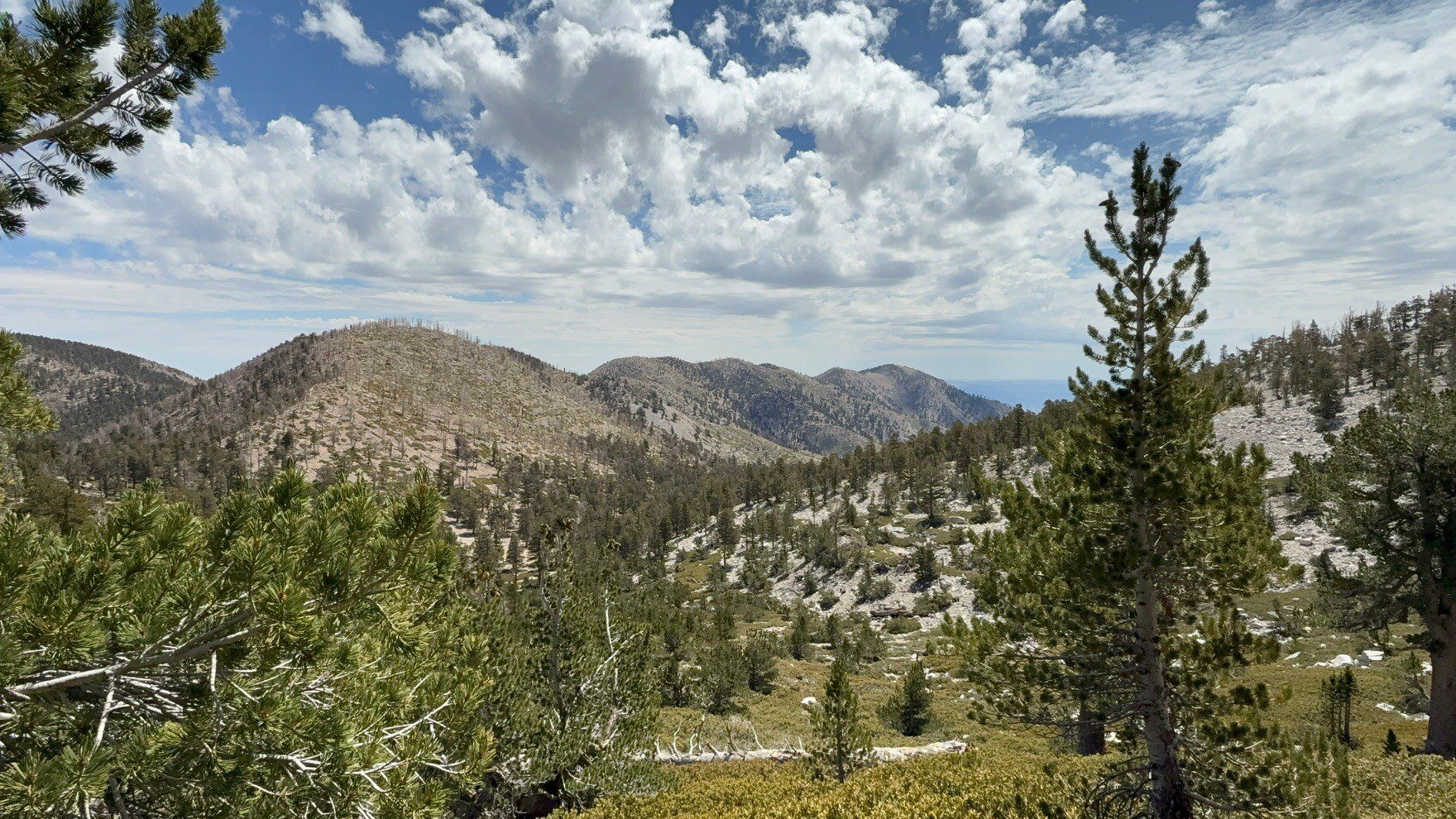 A mountainous landscape under a partly cloudy sky featuring scattered trees and green shrubs.