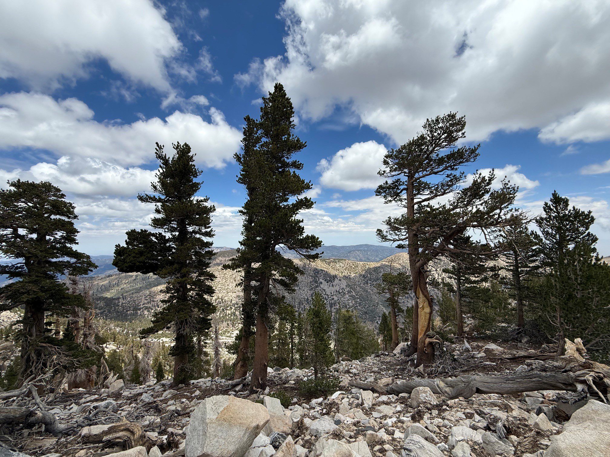 A mountainous landscape under a partly cloudy sky featuring scattered trees.