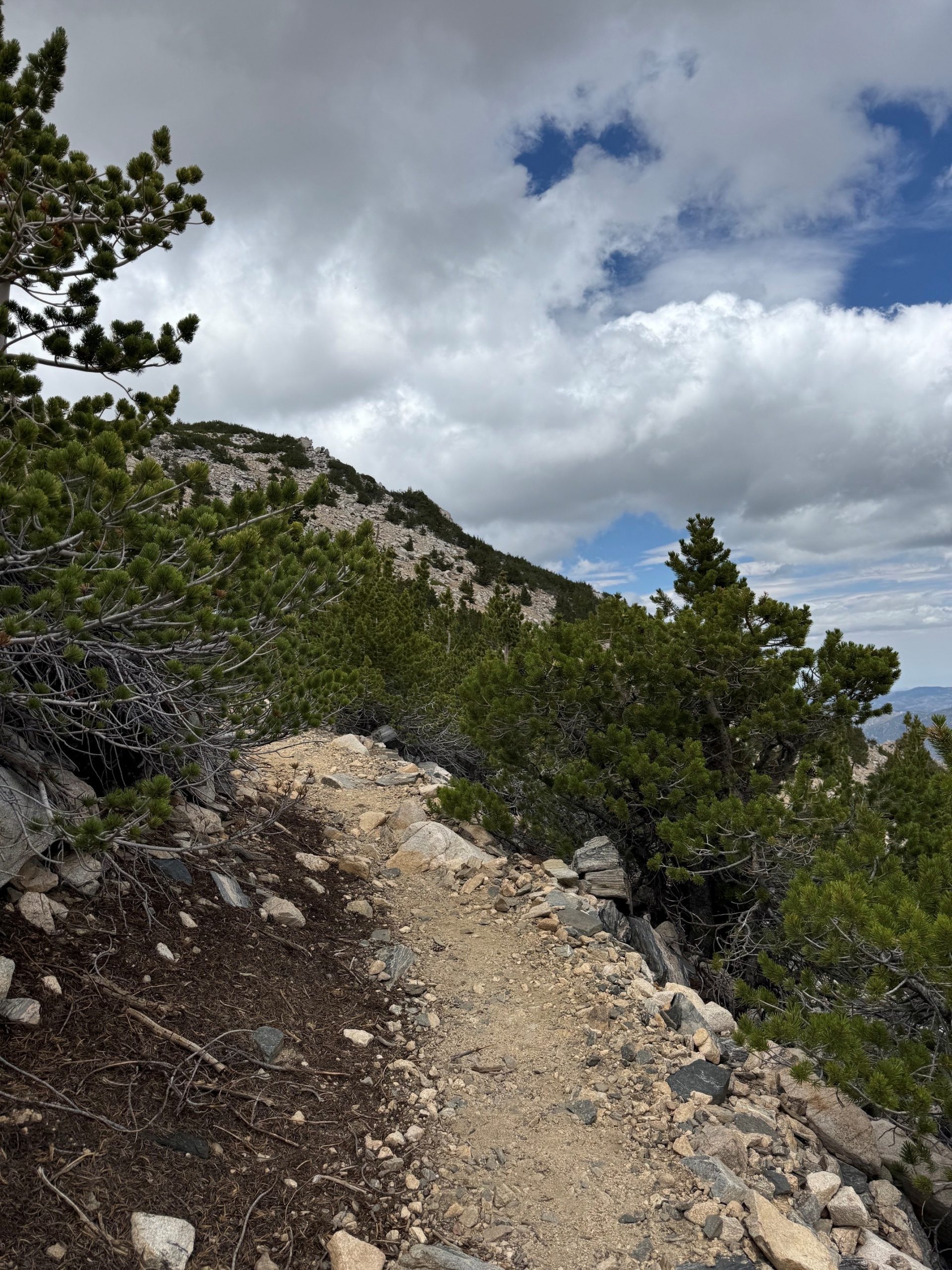 A trail that winds around a mountain under a partly cloudy sky surrounded by scattered trees and green shrubs.