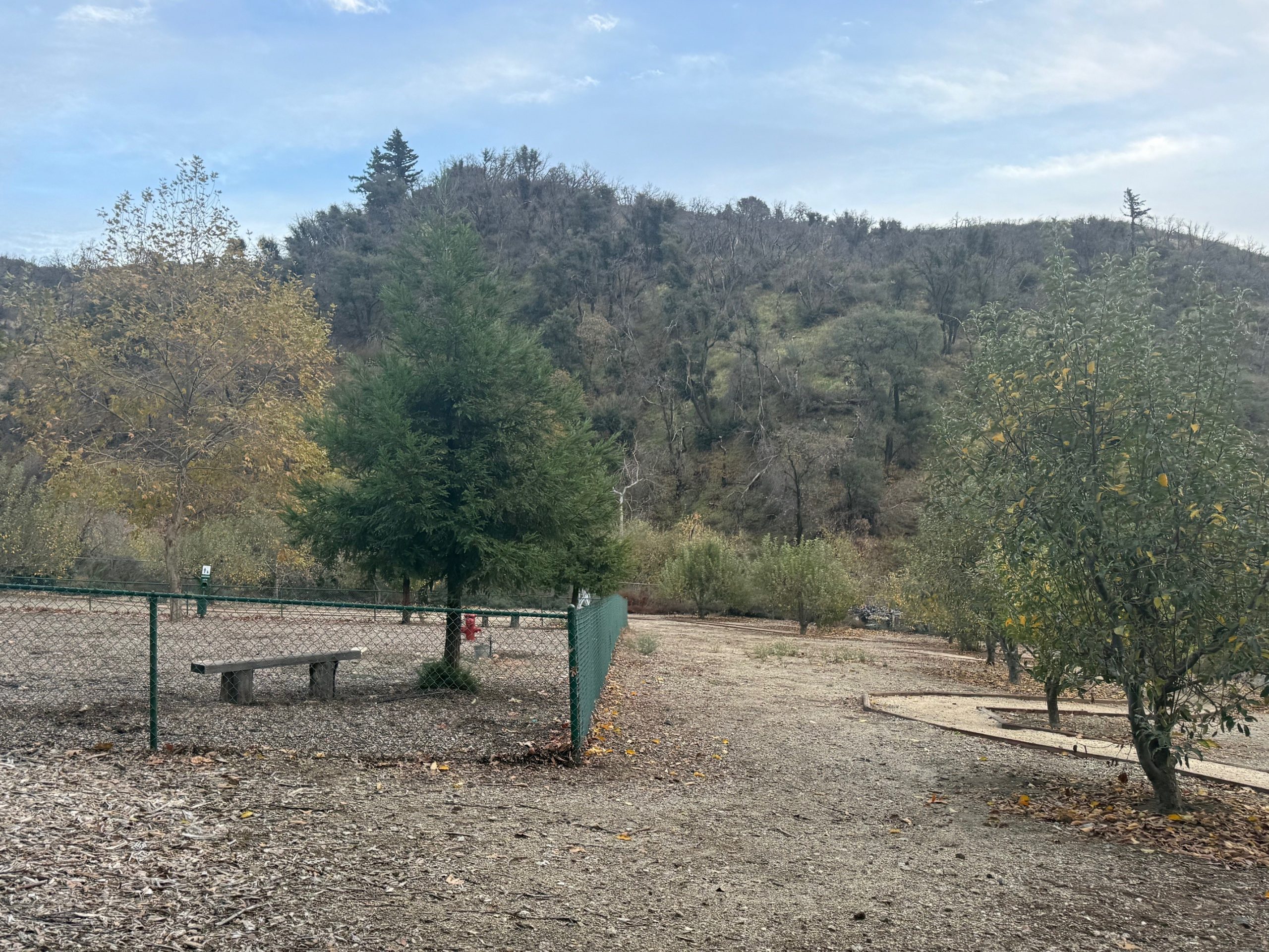 A park with a bench surrounded by trees and hills.