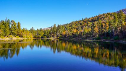A view of a lake reflecting the surrounding forest under a clear blue sky.