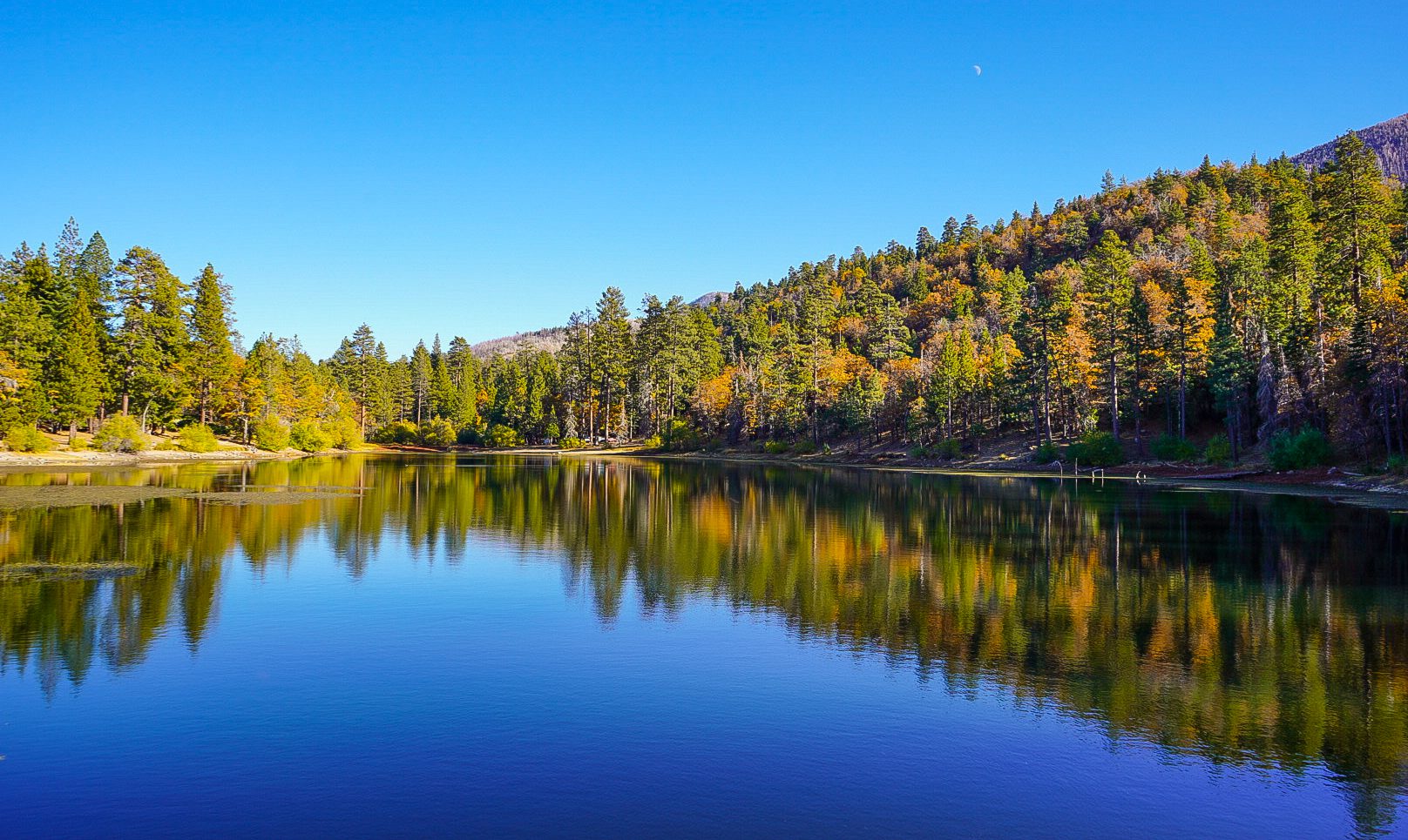 A view of a lake reflecting the surrounding forest under a clear blue sky.