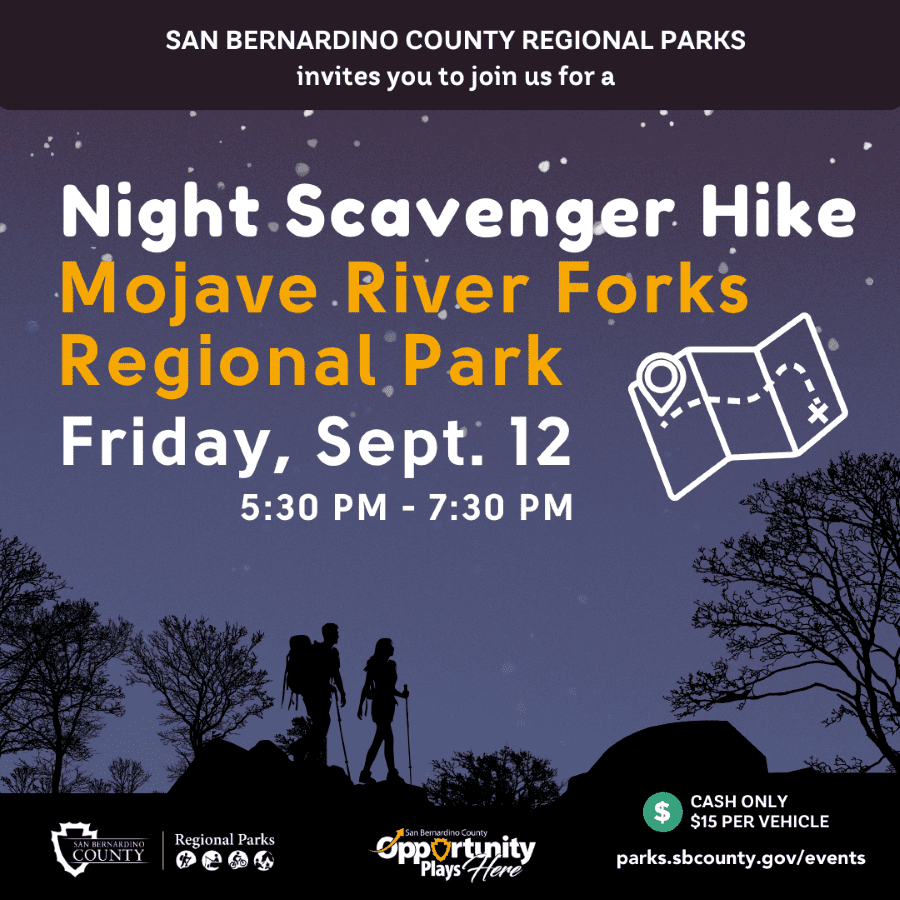 A night sky with stars with silhouettes of a man and woman hiker with desert trees, rocks and shrubs.