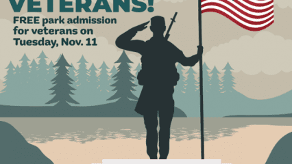 A soldier & an American flag. Text: San Bernardino County Regional Parks. THANK YOU VETERANS! Free park admission Tuesday, Nov. 11. parks.sbcounty.gov
