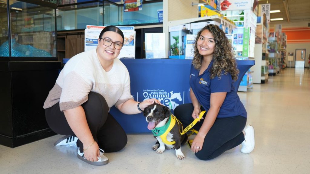  Two people kneel beside a smiling dog wearing an “Adopt Me” bandana inside a pet store event booth.