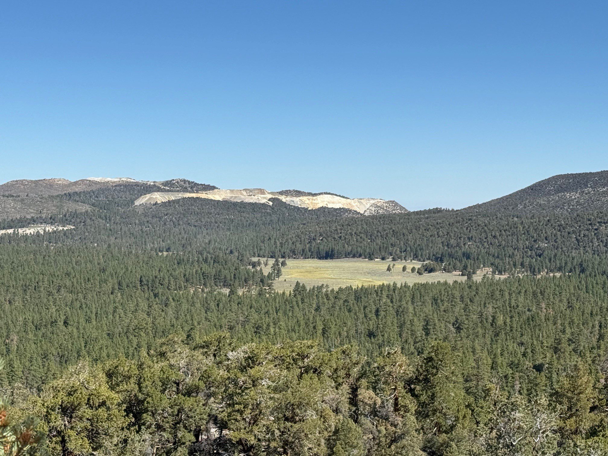 View from Bertha Peak surrounded by a forest and mountains.