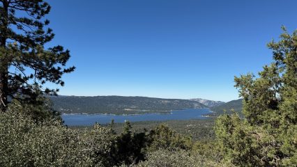 View from Bertha Peak surrounded by a forest and mountains.