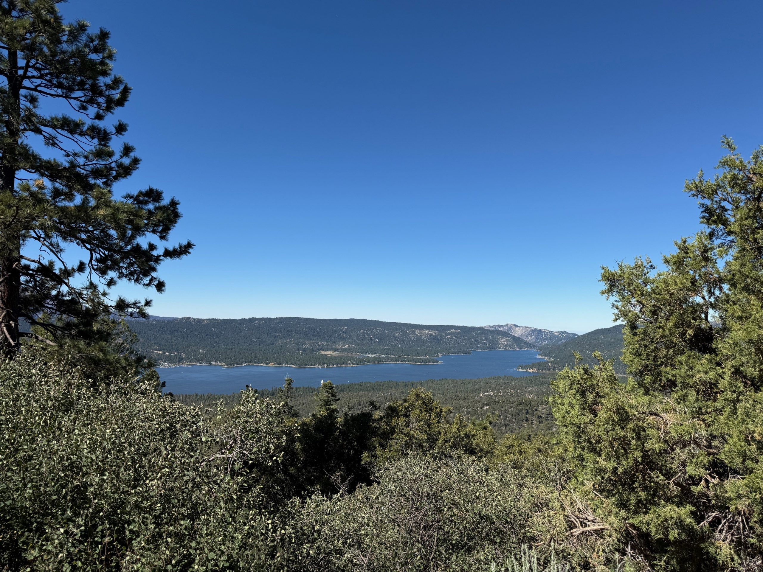 View from Bertha Peak surrounded by a forest and mountains.