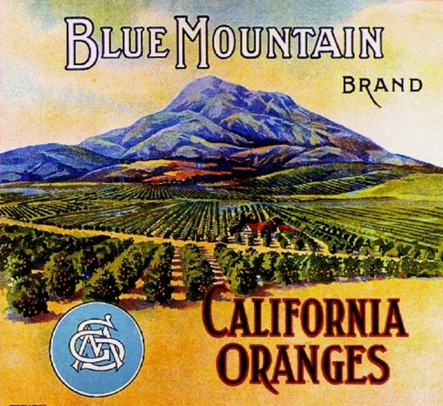 Blue Mountain Brand California Oranges label featuring an illustrated landscape with a large mountain in the background and orange groves.