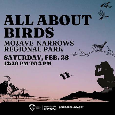 A background of birds and lake setting with a man squatting with binoculars with words Mojave Narrows Regional Park, Saturday, Feb. 28, from 12:30 p.m. to 2 p.m.