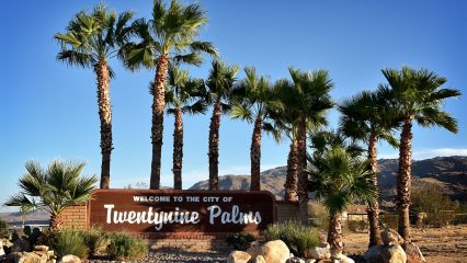 A sign reading "Welcome to the City of Twentynine Palms" stands surrounded by palm trees under a clear blue sky.