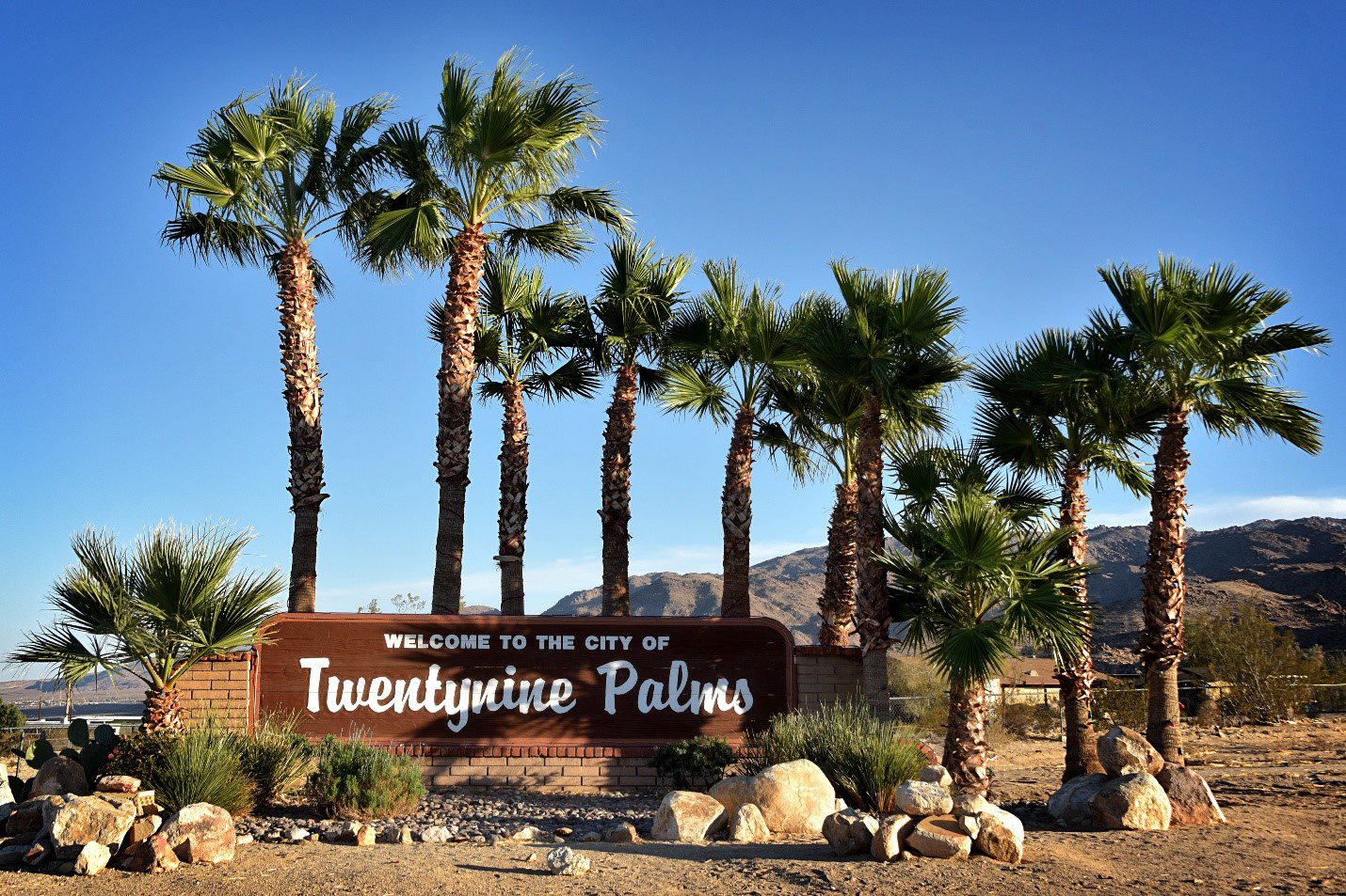 A sign reading "Welcome to the City of Twentynine Palms" stands surrounded by palm trees under a clear blue sky.