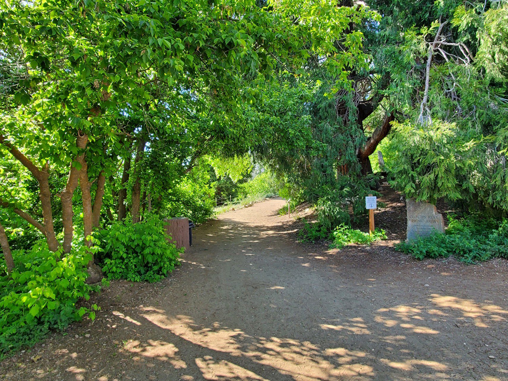 A dirt pathway leads to a forest.