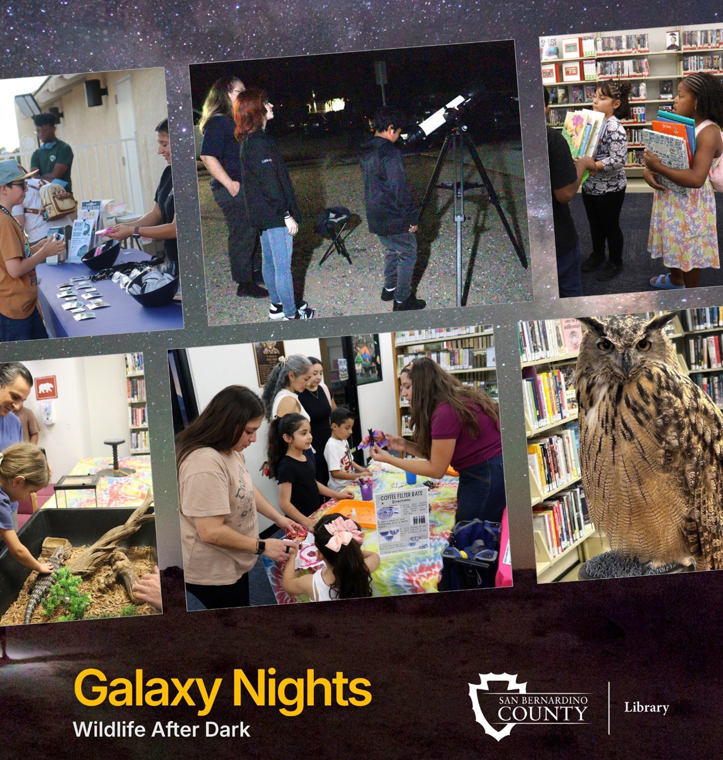 Promotional collage for “Galaxy Nights: Wildlife After Dark,” showing stargazing, library activities, children and a perched owl.