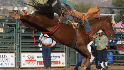 A person riding a horse during a rodeo event.
