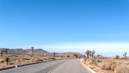 A winding road surrounded by Joshua trees and desert vegetation under a clear blue sky.