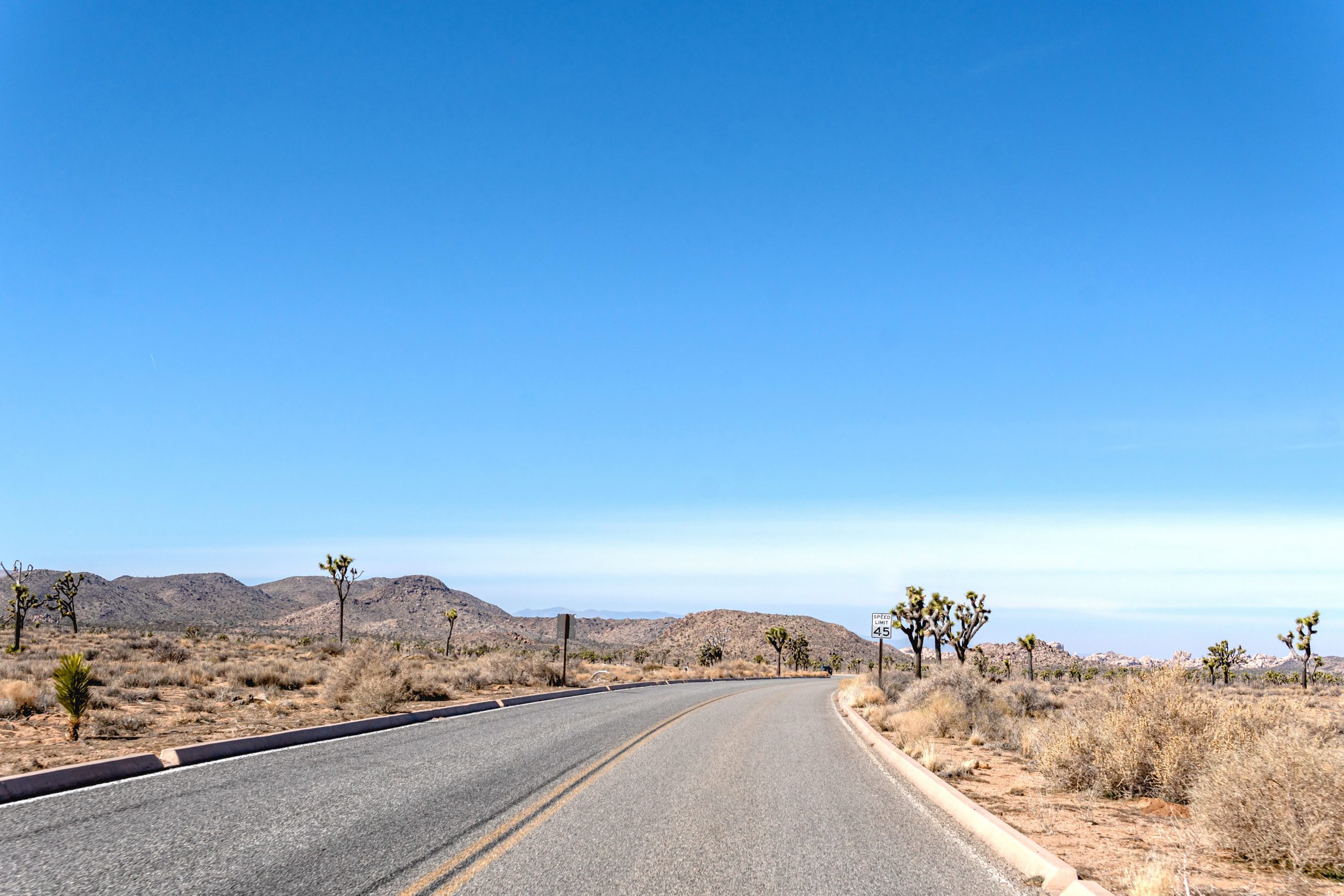 A winding road surrounded by Joshua trees and desert vegetation under a clear blue sky.