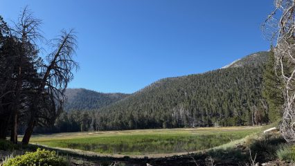 View of a lake surrounded by trees near the San Gorgonio Mountain.