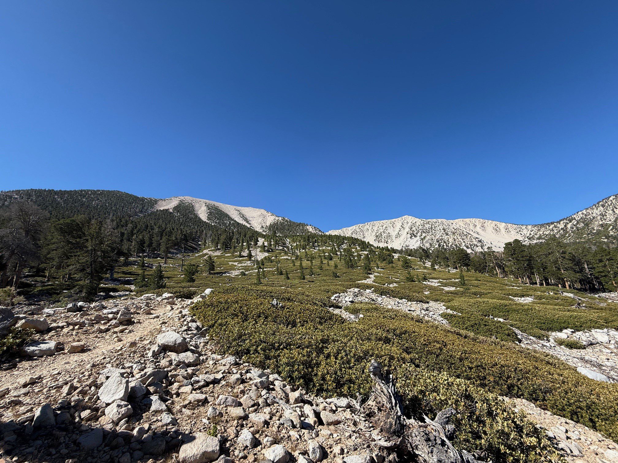 A hiking trail that features rocky terrain near the San Gorgonio Mountain.