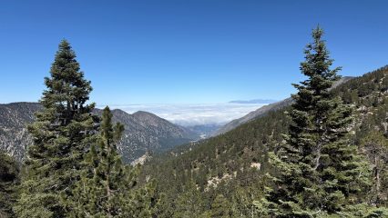 A view of the mountains with a clear blue sky above. The landscape includes forested hills.