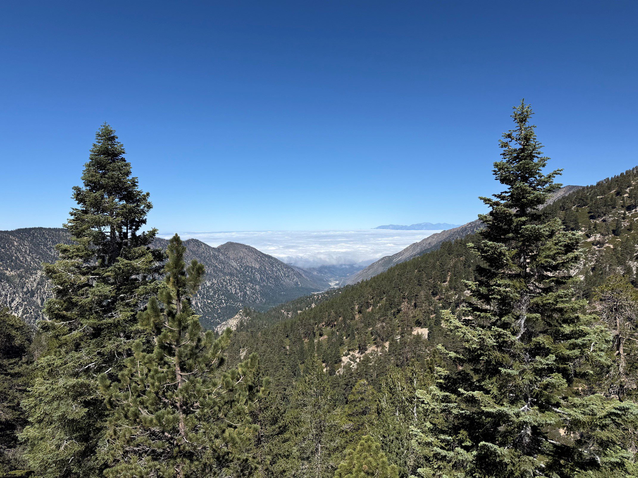 A view of the mountains with a clear blue sky above. The landscape includes forested hills.