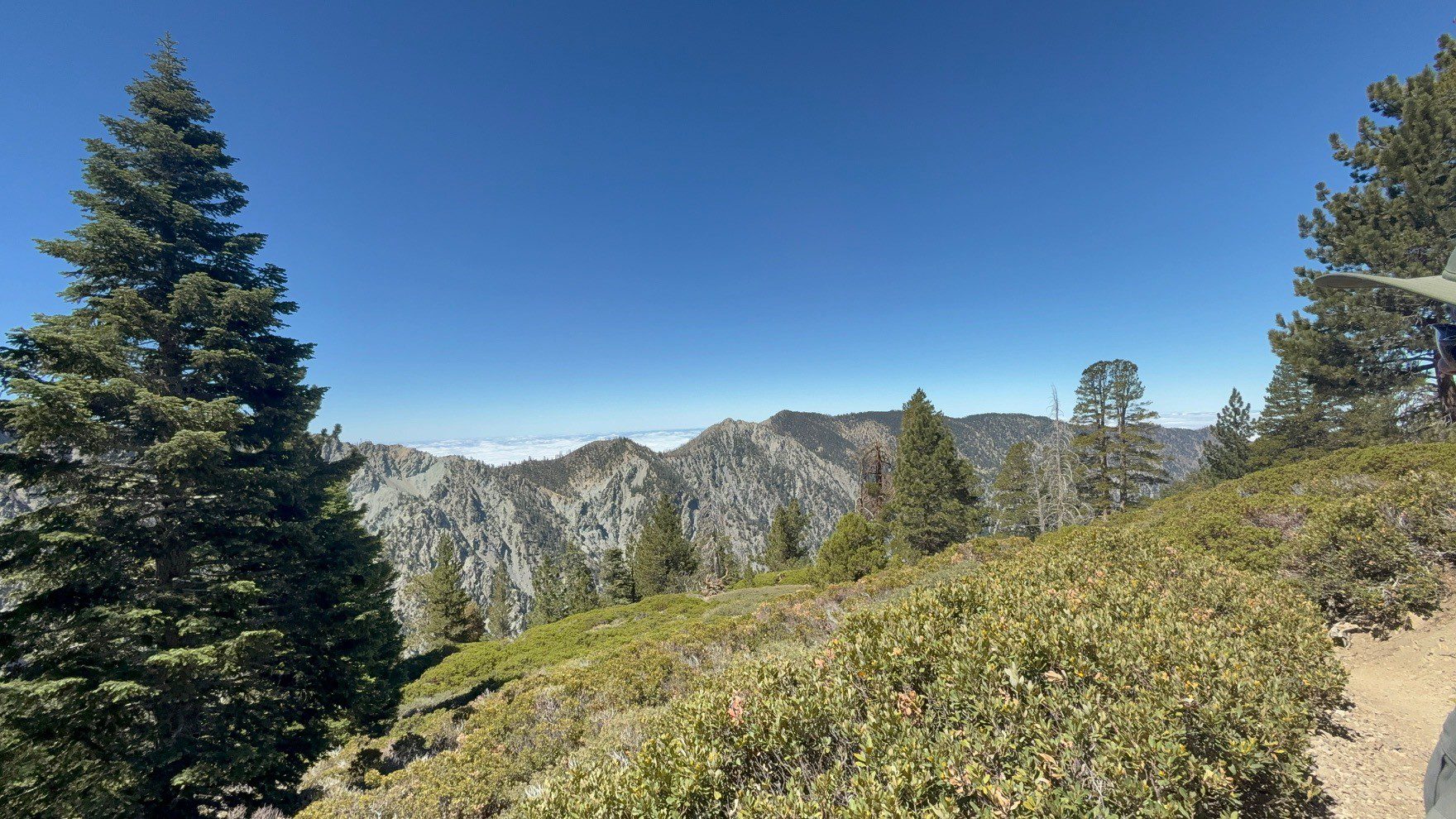 A scenic view of mountainous terrain with lush greenery in the foreground and a clear blue sky above. Dense forests cover the slopes of the mountains, extending into the distance.