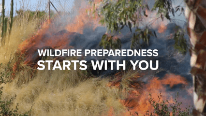 Wildfire preparedness starts with you, fire burning long grass and bushes near a palm tree.