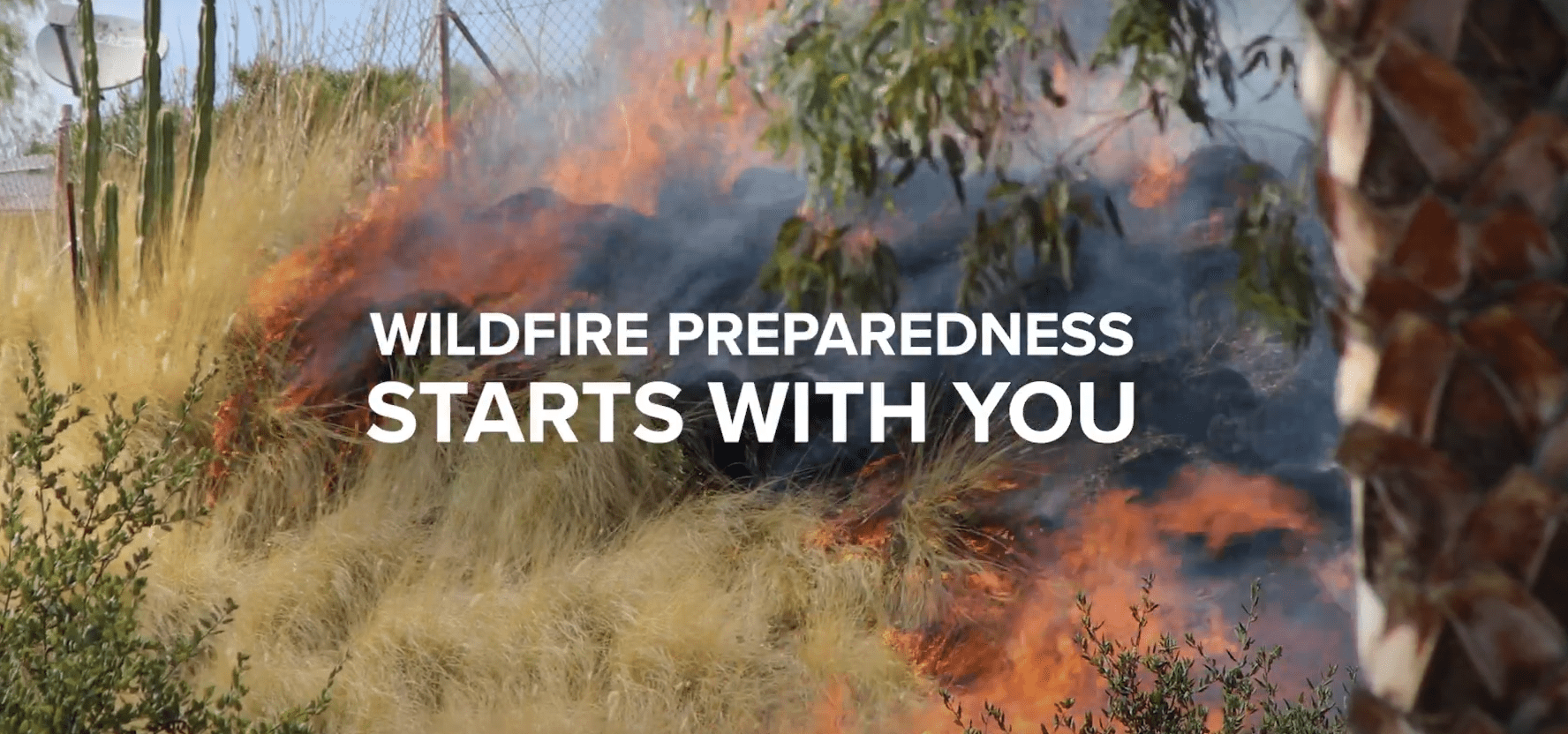 Wildfire preparedness starts with you, fire burning long grass and bushes near a palm tree.