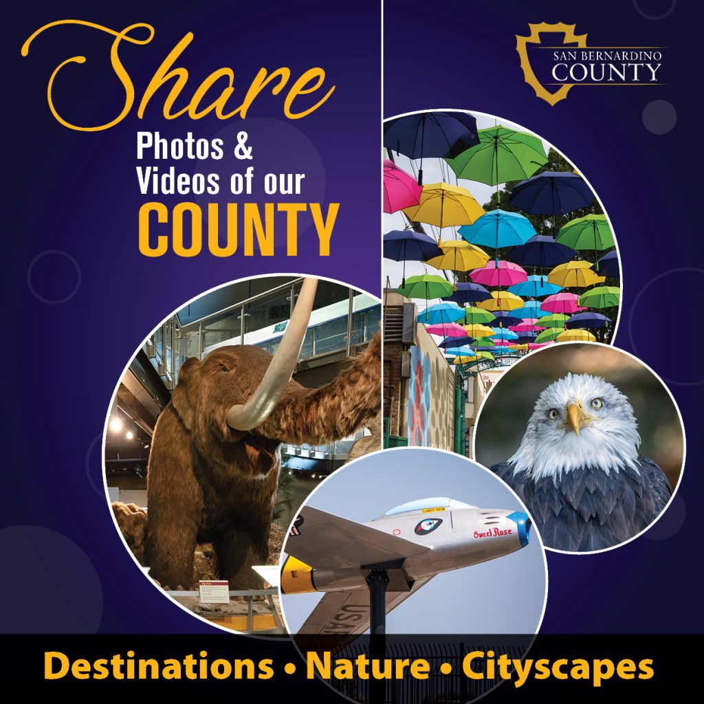 Collage featuring colorful umbrellas, a woolly mammoth display, a close-up of an eagle and a vintage aircraft. Text reads: "Share Photos & Videos of our County - Destinations • Nature • Cityscapes.