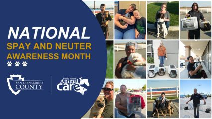 Graphic for National Spay and Neuter Awareness Month featuring pet owners with dogs and cats and Animal Care logos.