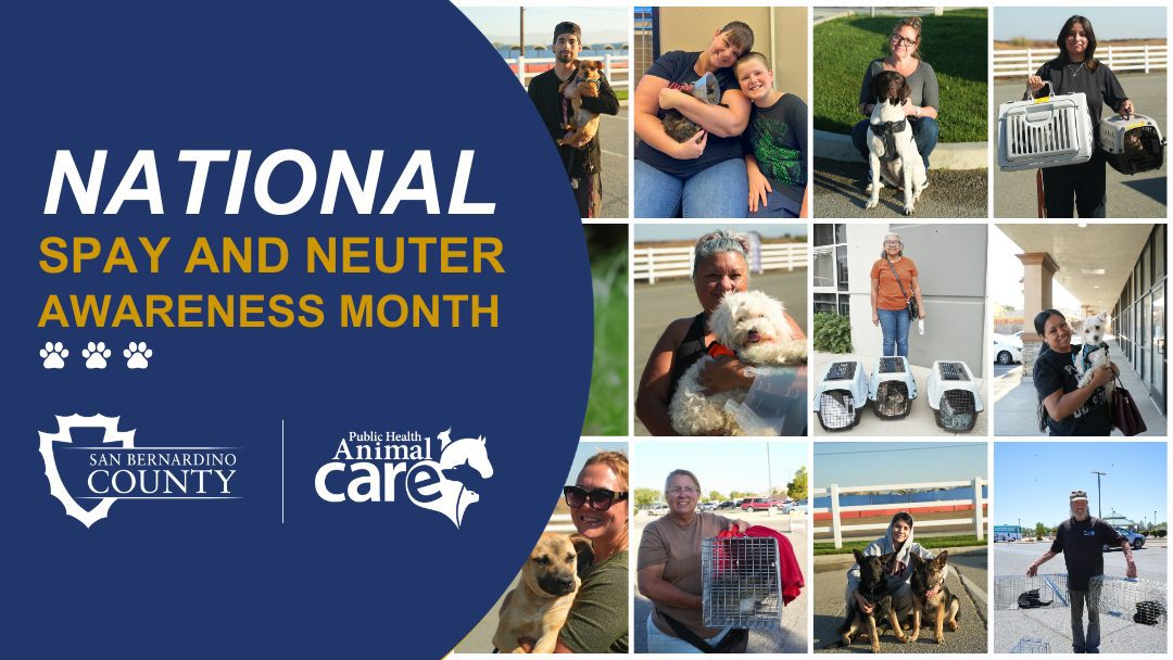 Graphic for National Spay and Neuter Awareness Month featuring pet owners with dogs and cats and Animal Care logos.