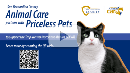 A graphic promoting the partnership between San Bernardino County Animal Care and Priceless Pets to support the TNVR program. It includes a black-and-white cat with wide green eyes, a QR code for additional details, county logos at the top and a translucent play button overlay, indicating a video.