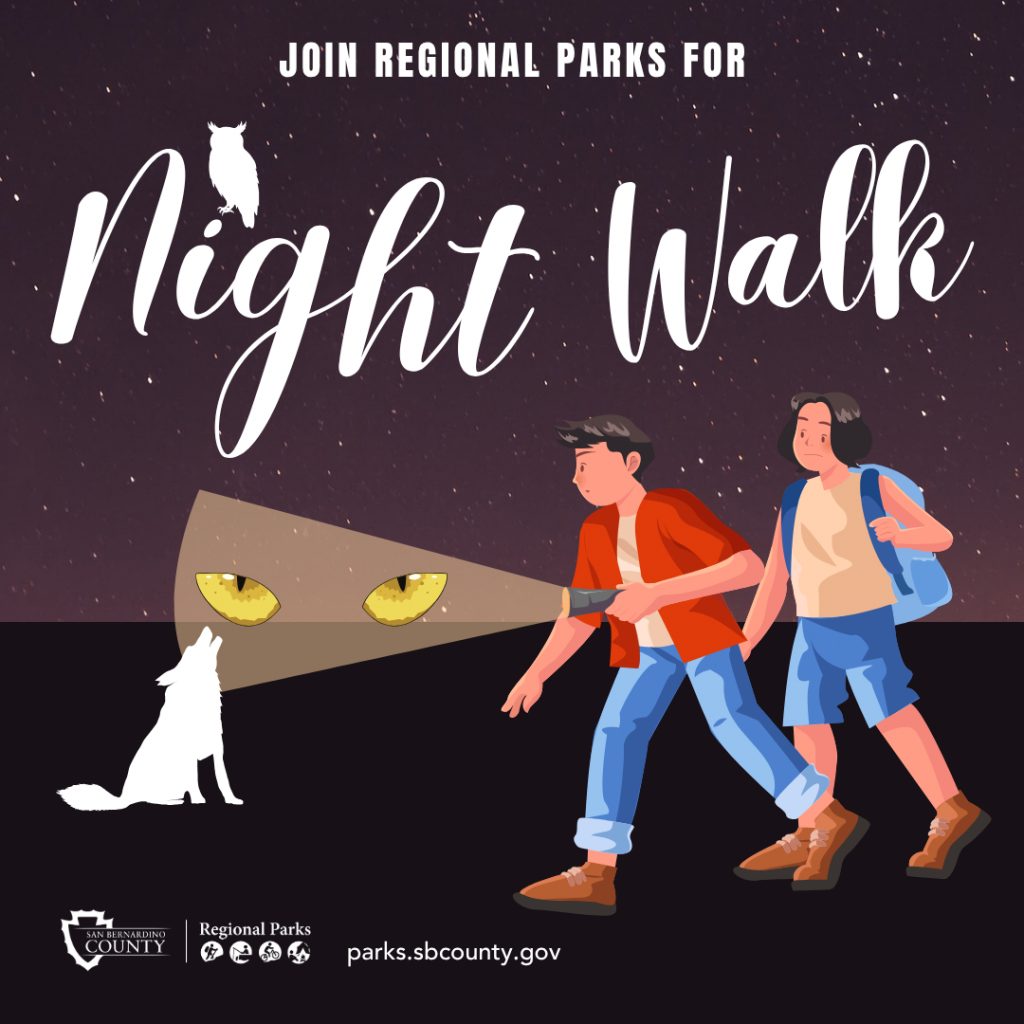 Night sky with owl, coyote and two boys with a flashlight on predator eyes. Text: Join Regional Parks for Night Walk with Regional Parks logo and parks.sbcounty.gov.