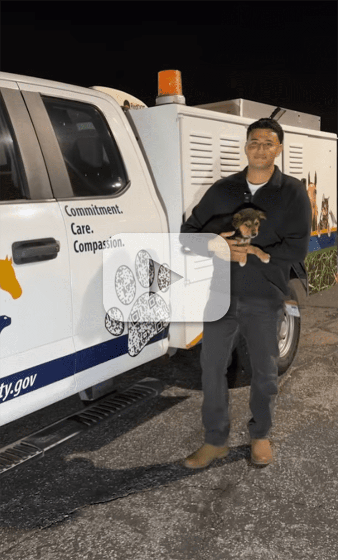 Staff holding a puppy beside an Animal Care truck, with a play button overlay indicating a video.