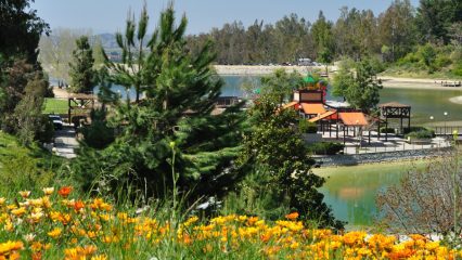 Park swimming lagoon surrounded by trees, playground, lake and flowers.