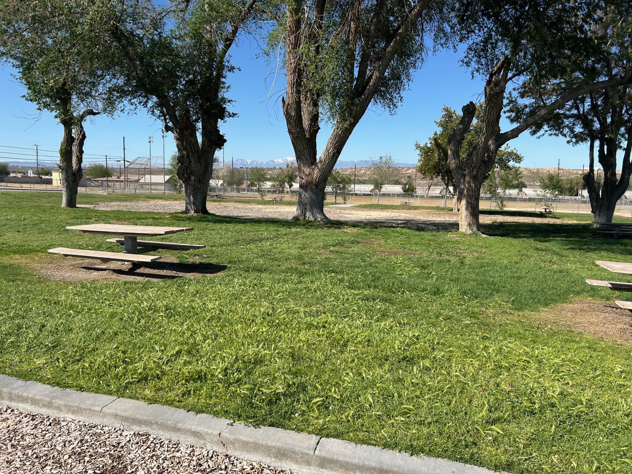 Grassy park area with large shade trees and picnic tables, with open space, fencing, and distant mountains in the background.
