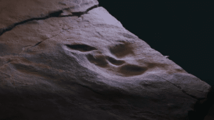 A rock surface is shown with a dinosaur footprint fossil embedded in the stone.