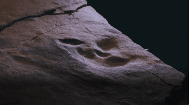 A rock surface is shown with a dinosaur footprint fossil embedded in the stone.