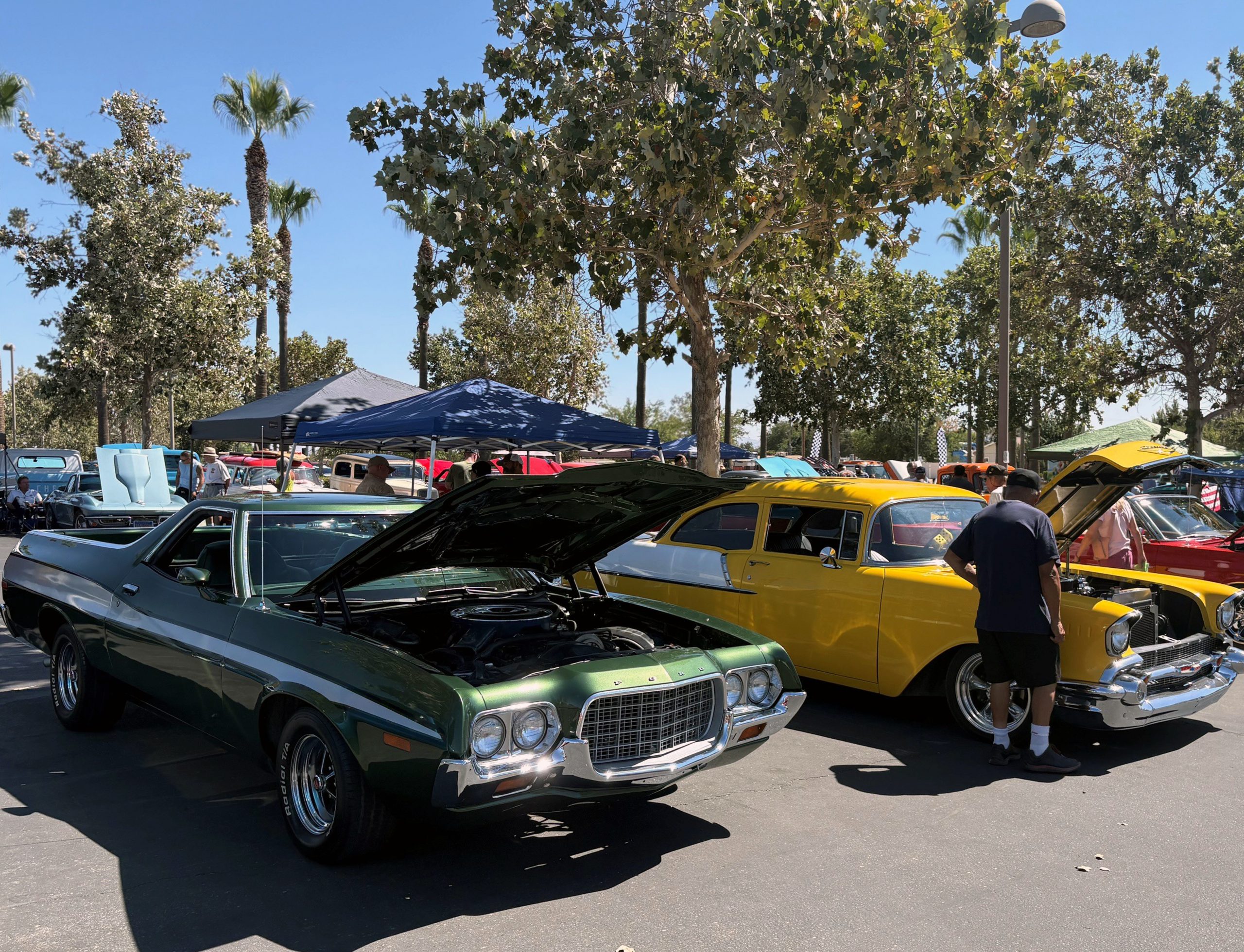Classic car show in a sunny park: a green vintage coupe with its hood open sits beside yellow and red cars, creating a lively scene.