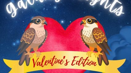 Starry space scene with planet, heart and two birds holding ‘Valentine’s Edition.’ Text: ‘San Bernardino County Library. Galaxy Nights. Friday, February 13, 7:00PM–9:00PM. library.sbcounty.gov.’