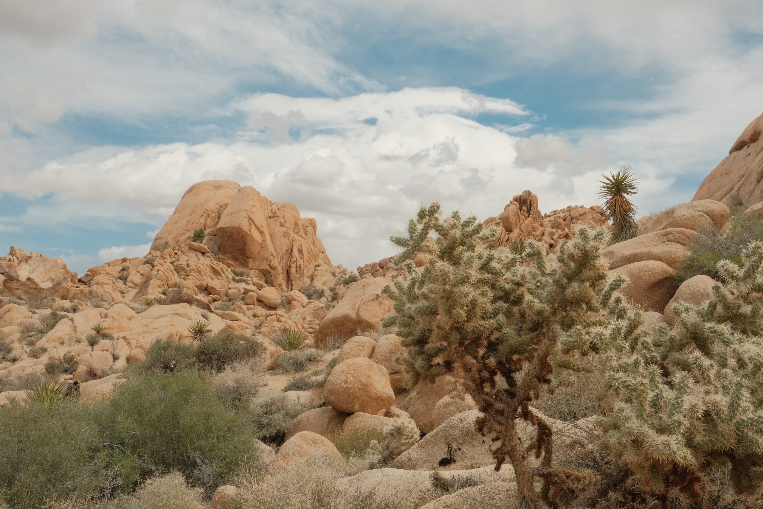 A view of Joshua Tree National Park featuring rock formations and desert vegetation under a partly cloudy sky.