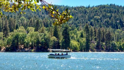 A boat sitting on a lake surrounded by a forest.